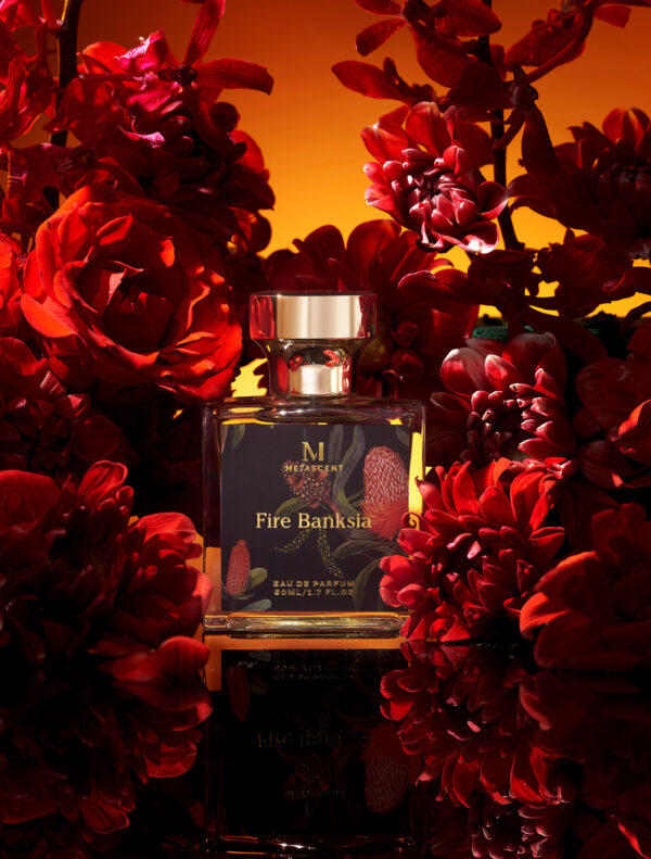 Fire Banksia - immagine 2
