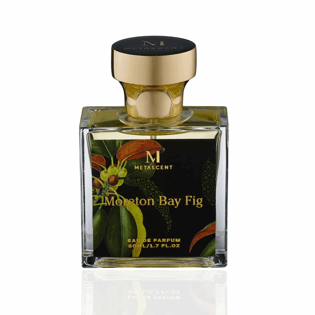 Moreton Bay Fig