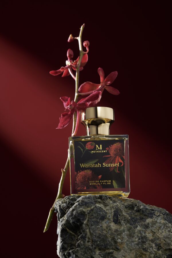 Waratah Sunset - immagine 2