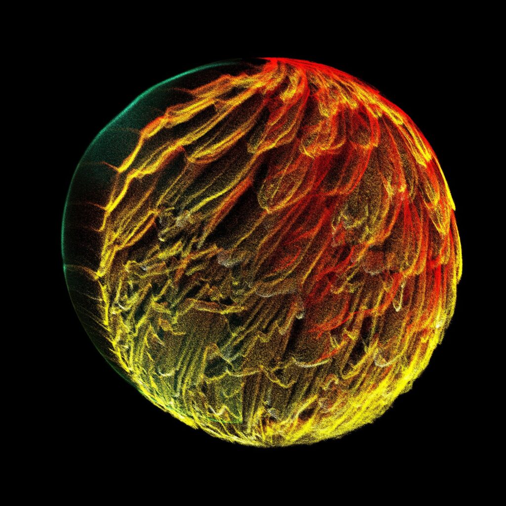 AMBRE AYANNA - Eau De Parfum