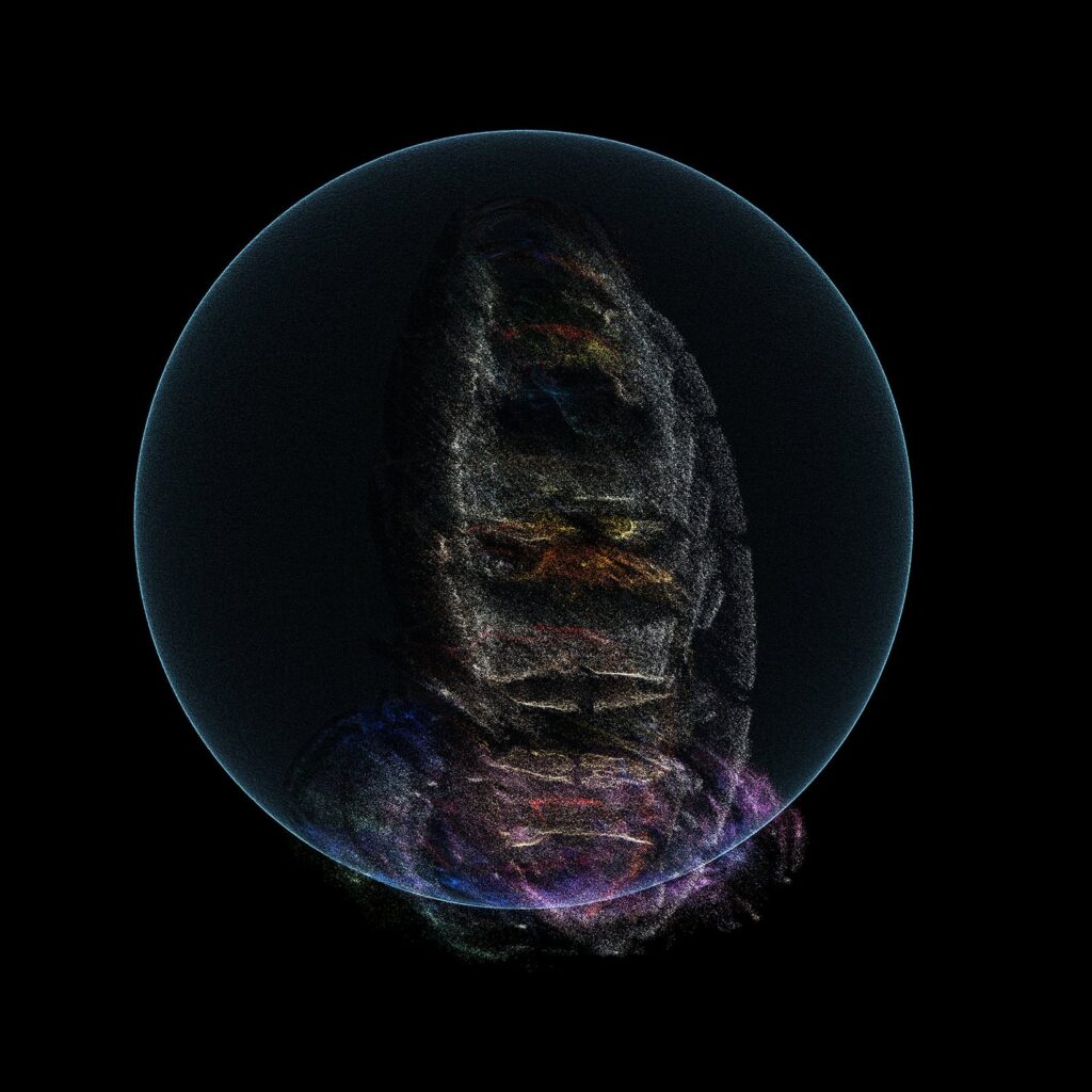 FIG AOUDII - Eau De Parfum