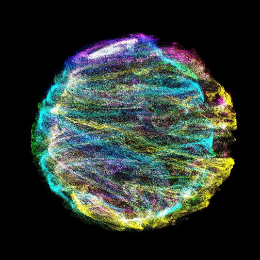 FIG ELEII - Eau De Parfum