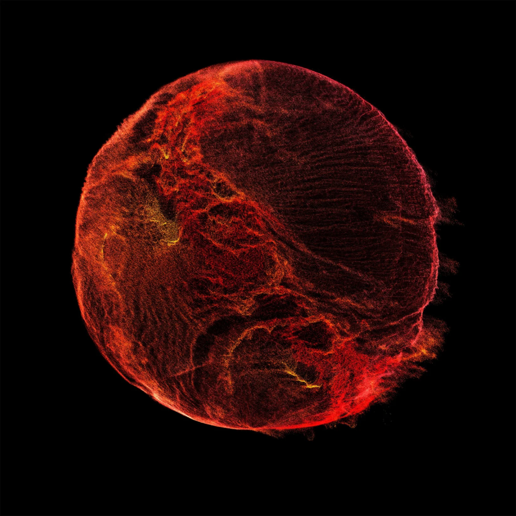 MUSC KALIRII - Eau De Parfum