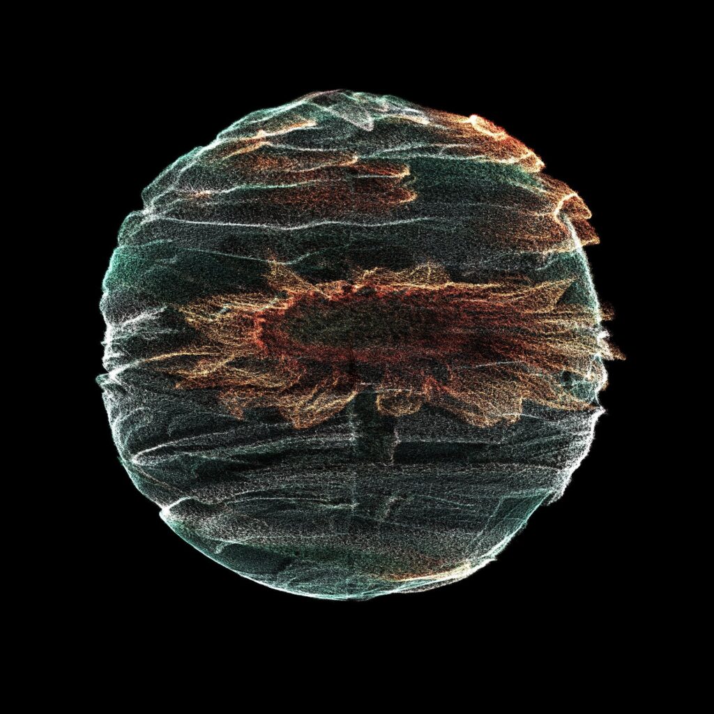 MUSC DAHABII - Eau De Parfum